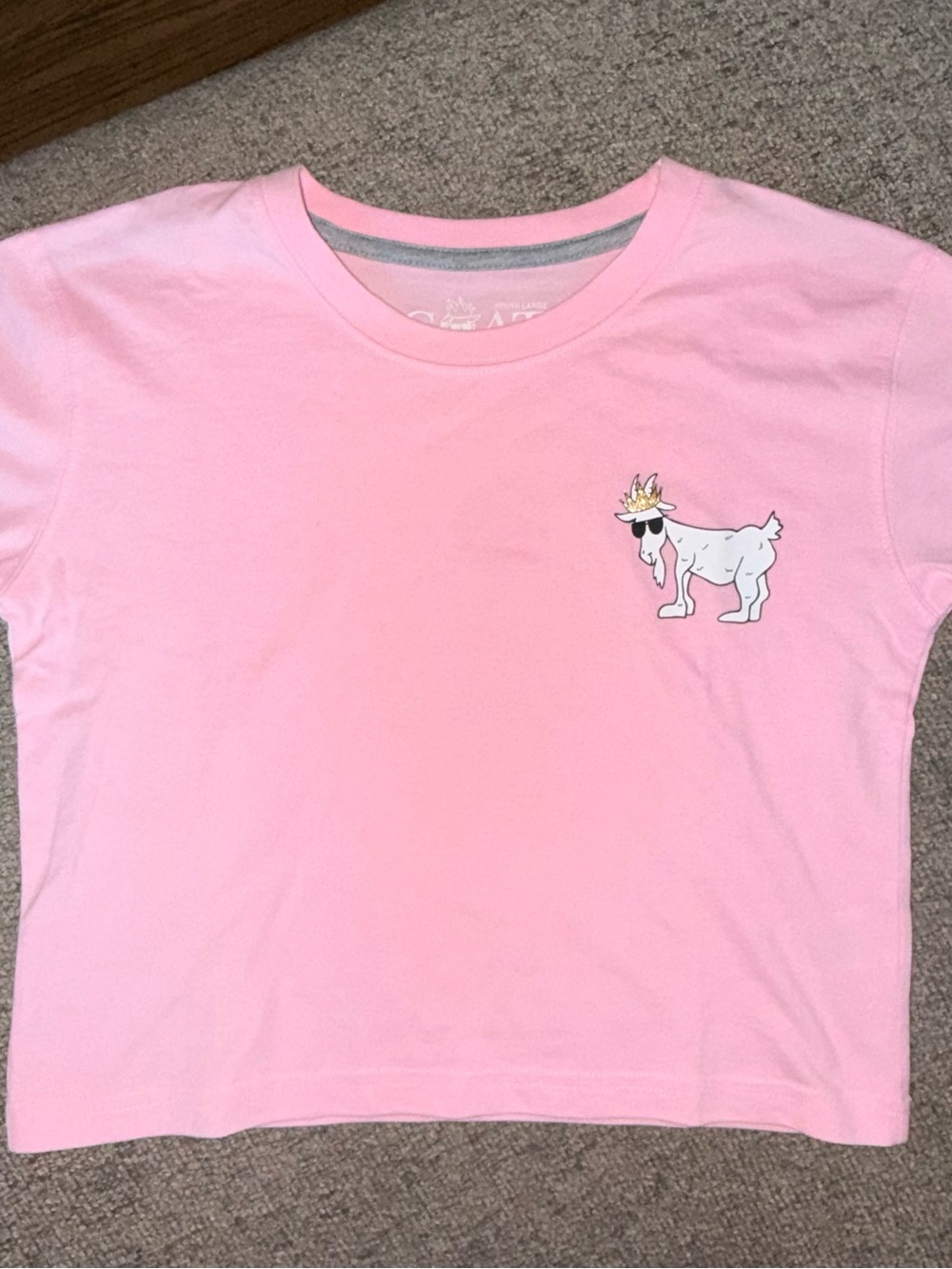 Girls' Pink Short Sleeve Tee with Cute Goat Graphic